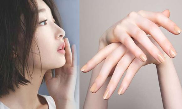 chồn, khám phá bí mật