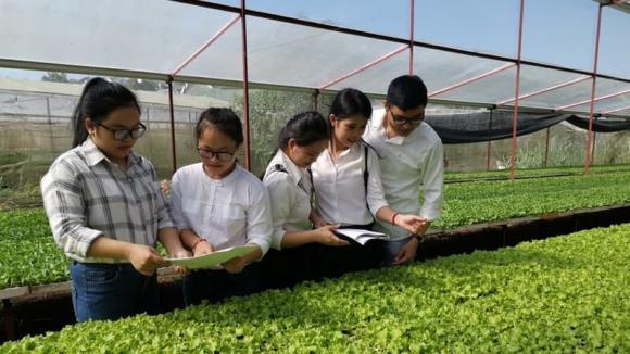 ngành nghề, ngành nghề lương thấp, ngành bảo vệ thực vật, ngành bảo hộ lao động, kiến thức 