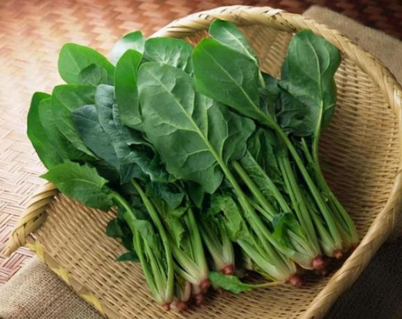 rau sạch, rau an toàn