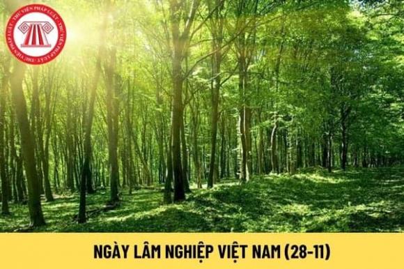 Ngày 28/11