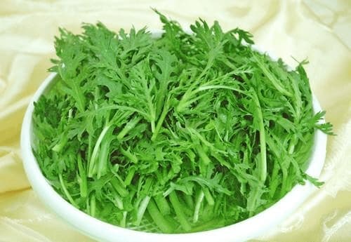 rau sạch, rau an toàn