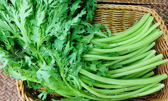 châm ngôn cuộc sống