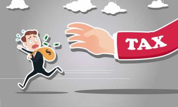 bí quyết trồng giá 