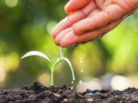 mối quan hệ, giao tiếp, loại người, mối quan hệ tốt với ba loại người, người dù tài giỏi đến đâu cũng phải có mối quan hệ tốt với ba loại người