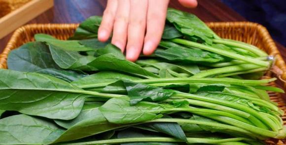 nóng gan, giải độc gan