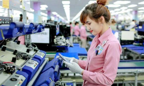 tại sao không nuôi voi lấy thịt