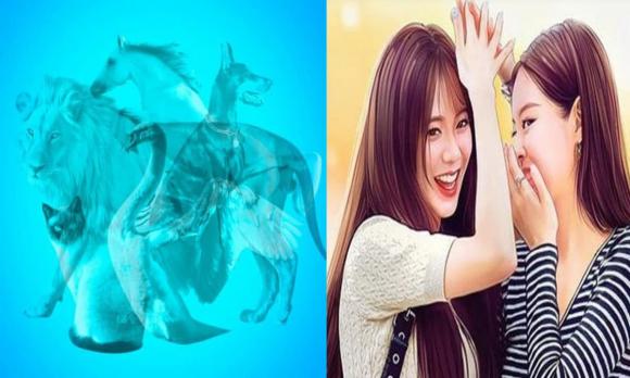 mẹo vặt cuộc sống, vệ sinh nồi cơm điện