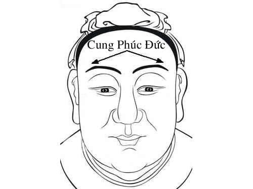thành công, tướng người thông minh, tướng thông minh, kiến thức 