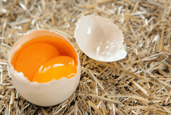 trứng gà hai lòng, ăn trứng gà, kiến thức 