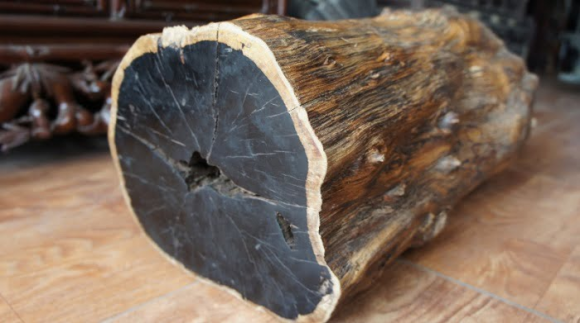 gỗ mun, gỗ mun là gì, gỗ mun đắt không 