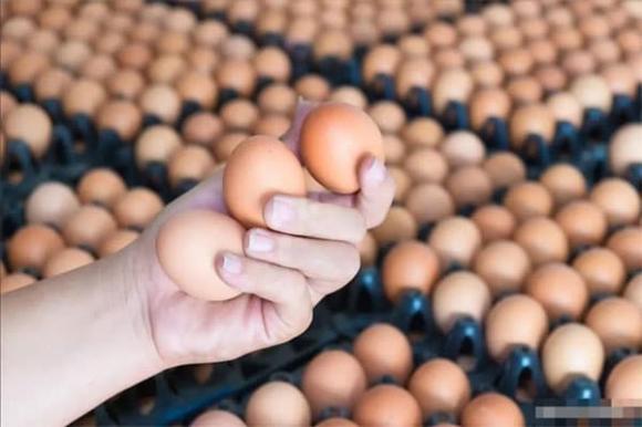 tủ lạnh, bảo quản trứng, quả trứng