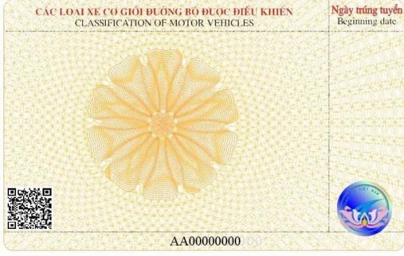  giấy phép lái xe, luật giao thông
