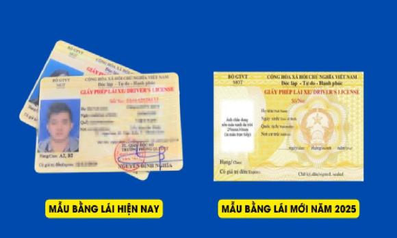  giấy phép lái xe, luật giao thông