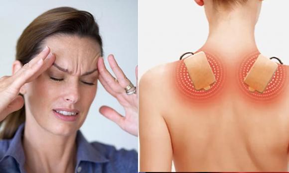 rau khúc, bánh khúc, rau cho lợn, kiến thức 
