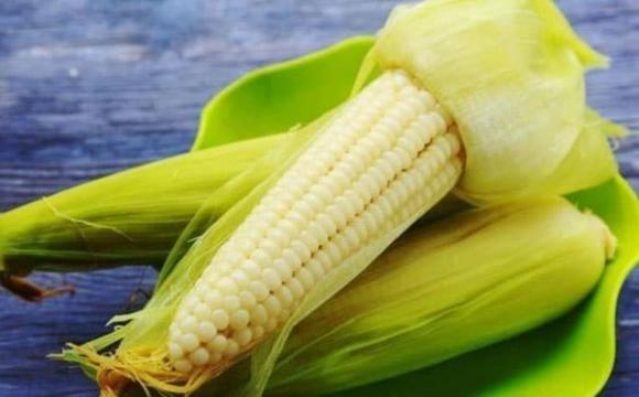 luộc ngô, bắp ngô, món ngon mỗi ngày 