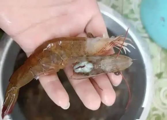 tôm, chọn tôm, mẹo vặt gia đình
