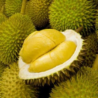 sầu riêng, tỉnh trồng sầu riêng, kiến thức 