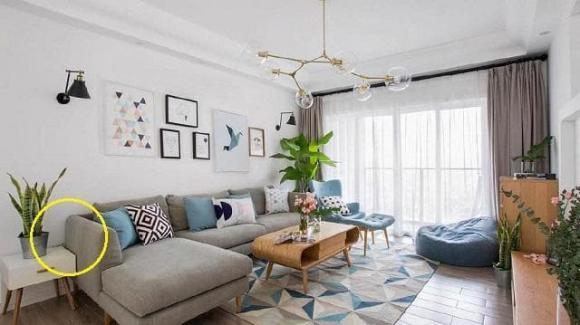 trang trí nhà cửa, lưu ý khi trang trí nhà cửa