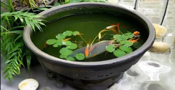 đặt nước trước cửa, cải thiện phong thủy nhà ở