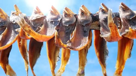 đắm tàu, phép lạ, sống sót trên biển