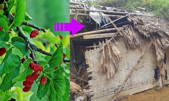 gối, gối thời xưa, gối sưa, gối gỗ
