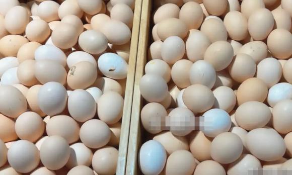 trứng gà, cách chọn trứng gà, trứng gà nên chọn loại to hay nhỏ