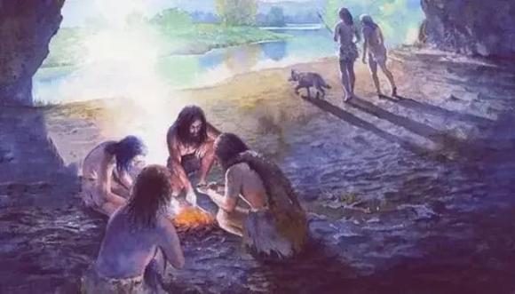 cơ thể người, tiến hoá