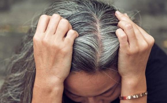 tóc bạc, tóc bạc đen trở lại, kiến thức 