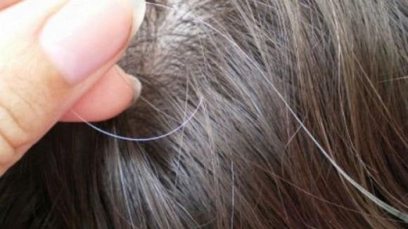 tóc bạc, tóc bạc đen trở lại, kiến thức 