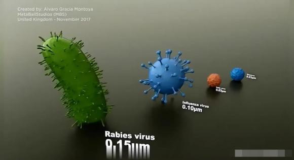 virus