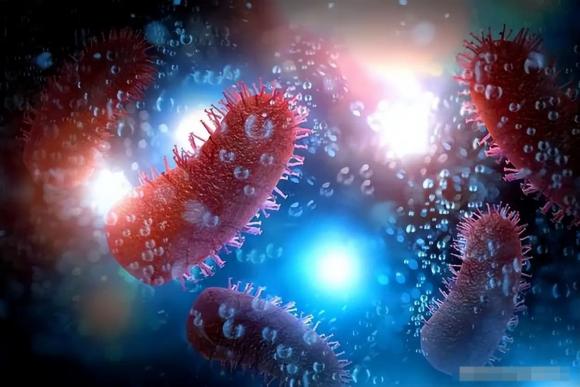 virus