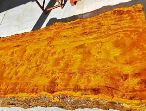 gỗ Kim Tơ Nam Mộc, gỗ quý, loại gỗ quý hiếm