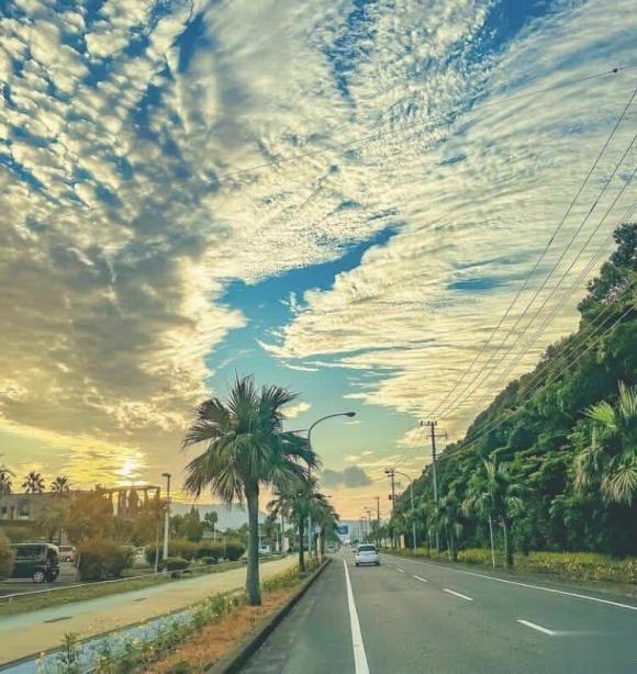 gia đình, nuôi dạy trẻ