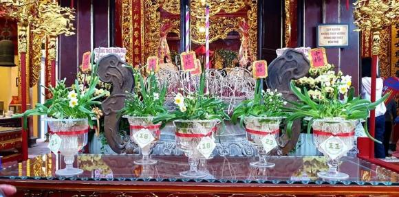 Hoa chưng lên bàn thờ cực hút tài lộc, hoa thắp hương