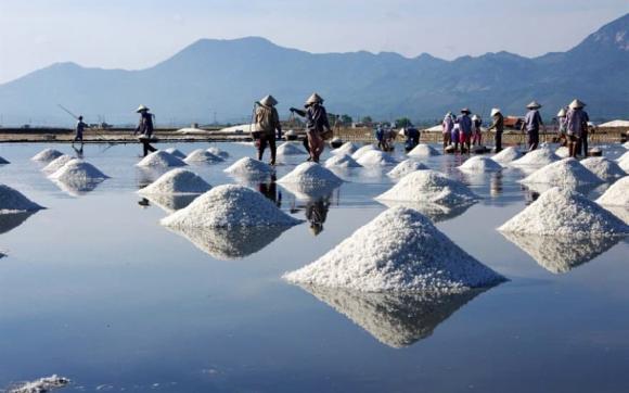 Tỉnh ninh thuận, thủ phủ muối việt nam