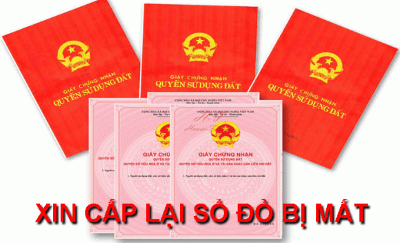 sổ đỏ, mất sổ đỏ, cấp lại sổ đỏ, kiến thức 