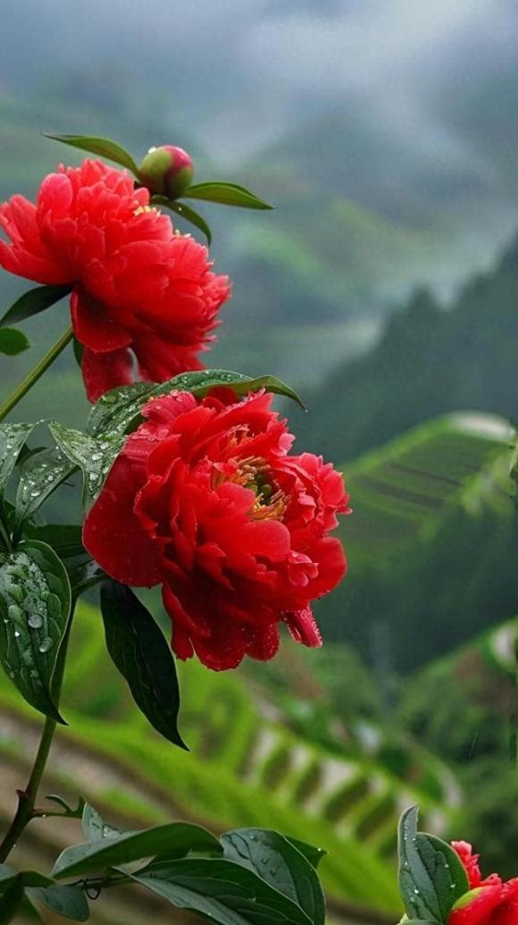 Trắc nghiệm tâm lý
