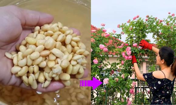 câu nói ý nghĩa, câu nói của người xưa, câu nói hay