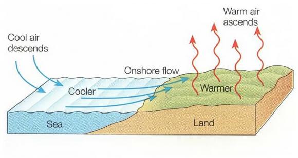 sa mạc, sa mạc sahara