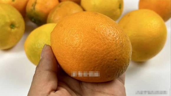 quả cam, cam ngon, mẹo vặt gia đình

