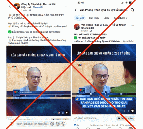 lừa đảo, Mr Pips, kiến thức 
