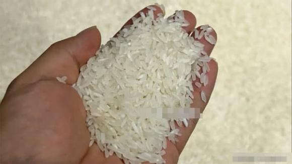 gạo mới, gạo ngon, mẹt vặt gia đình