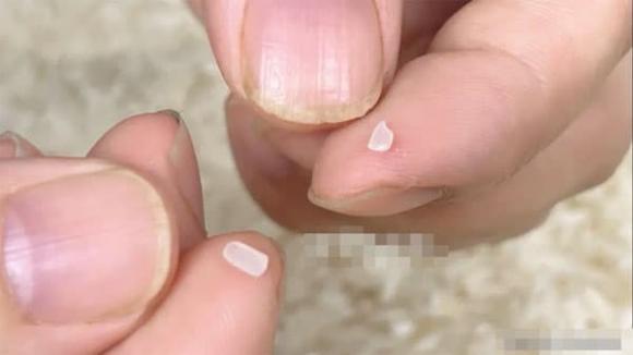 gạo mới, gạo ngon, mẹt vặt gia đình