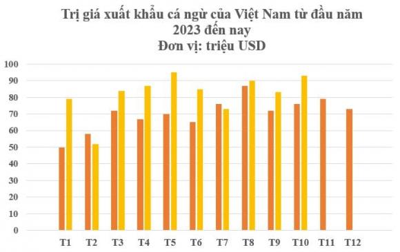 Cá ngừ việt nam