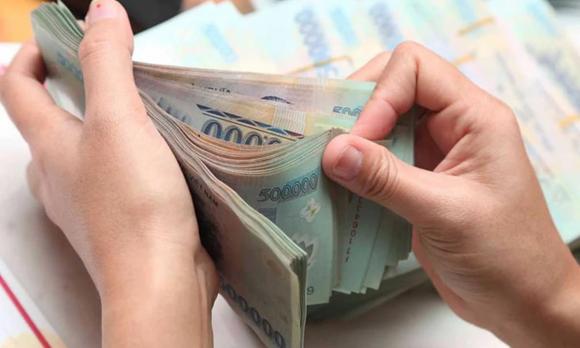 hoa mai xanh, trồng cây gì trước cổng, trồng cây 