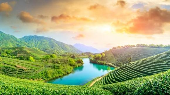 triết lý cuộc sống