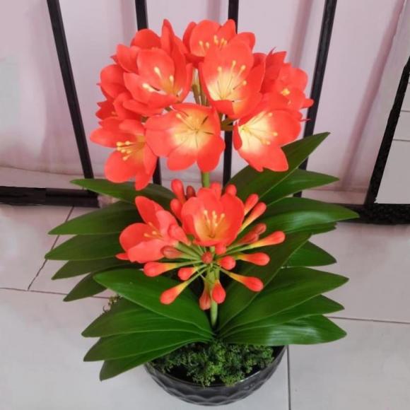 hoa tặng, hoa tết