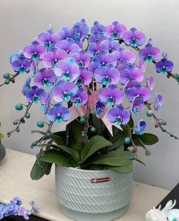 Trắc nghiệm tâm lý