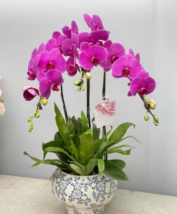 Trắc nghiệm tâm lý