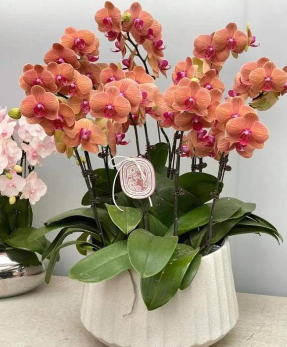 Trắc nghiệm tâm lý